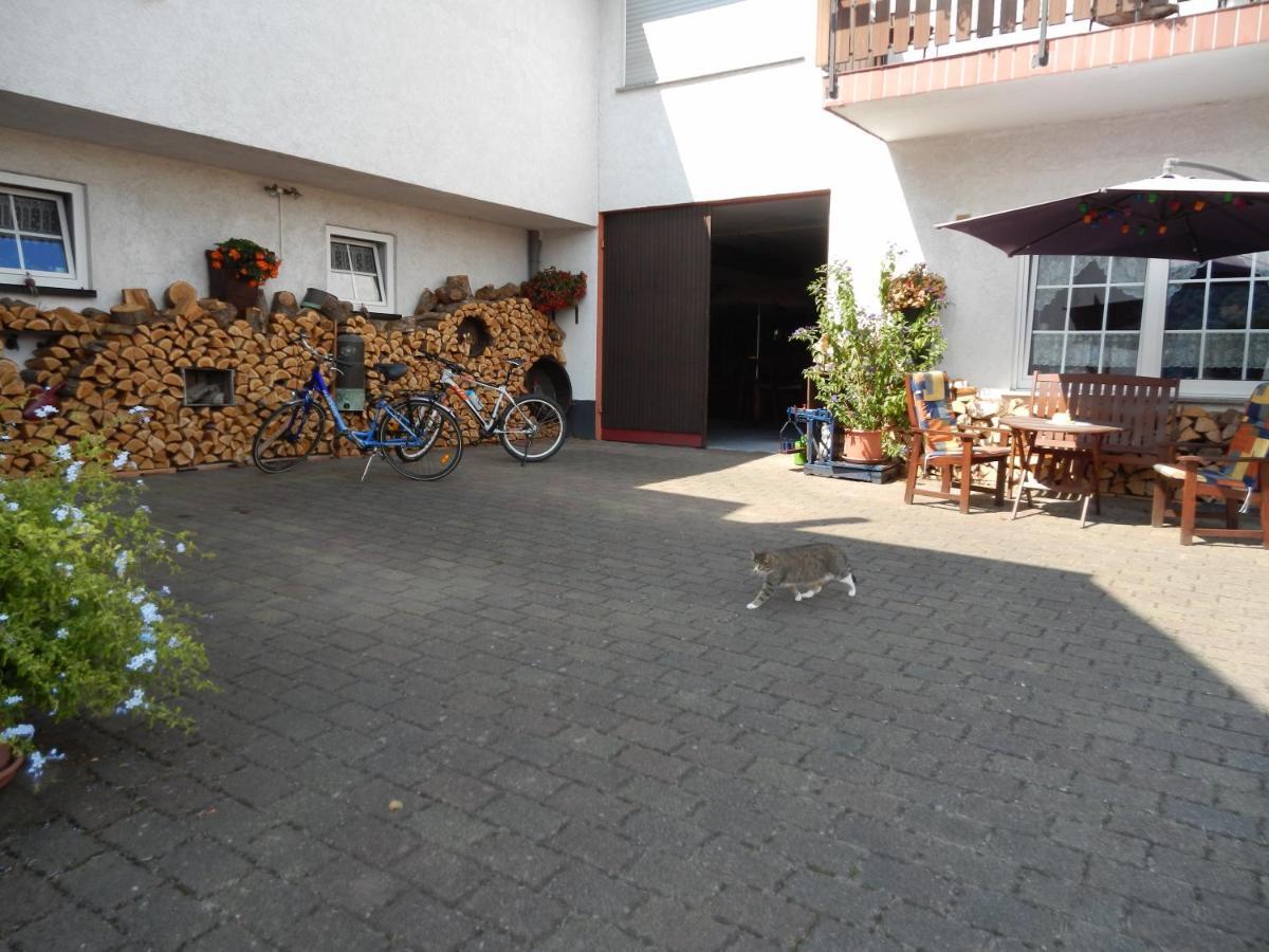 Ferienweinhaus Roemer-Knodt Kröv エクステリア 写真