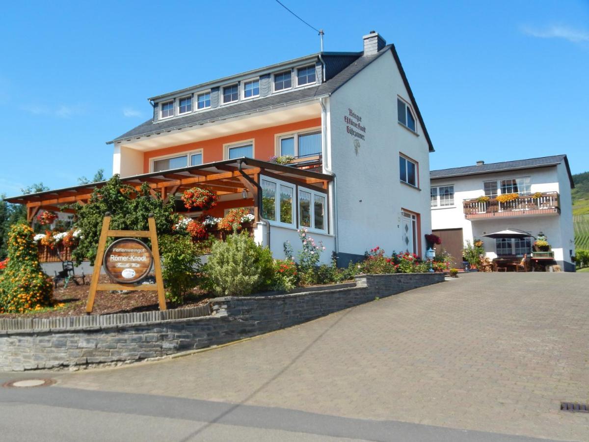 Ferienweinhaus Roemer-Knodt Kröv エクステリア 写真