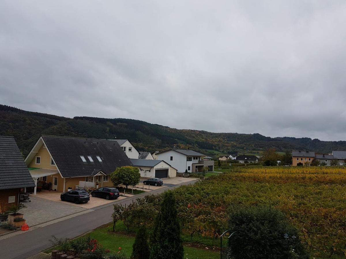 Ferienweinhaus Roemer-Knodt Kröv エクステリア 写真