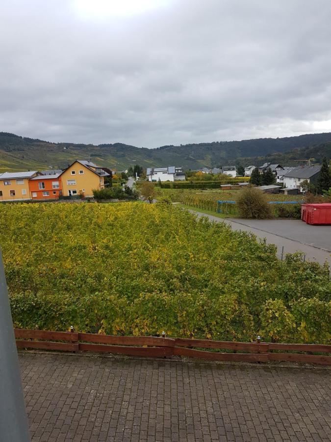 Ferienweinhaus Roemer-Knodt Kröv エクステリア 写真